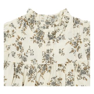 Louisiella Strampler Breslin-listing