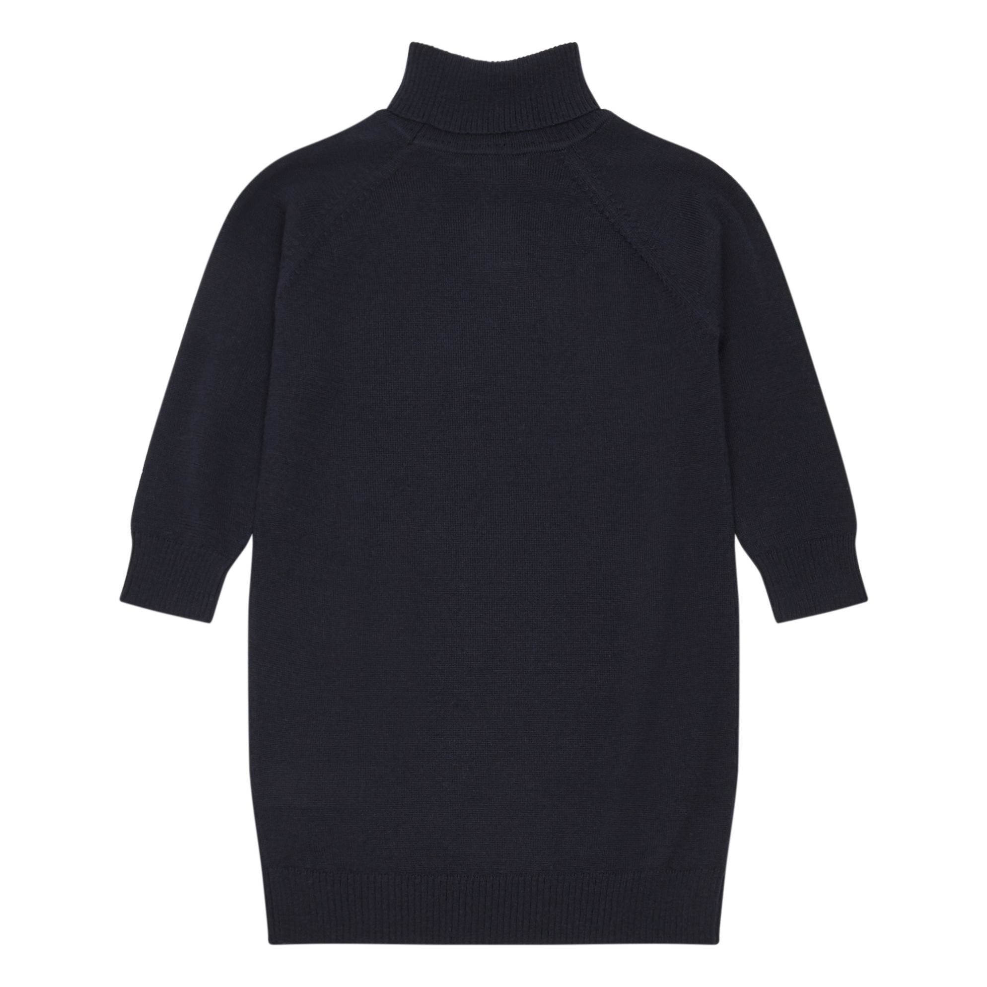 navy turtleneck dress