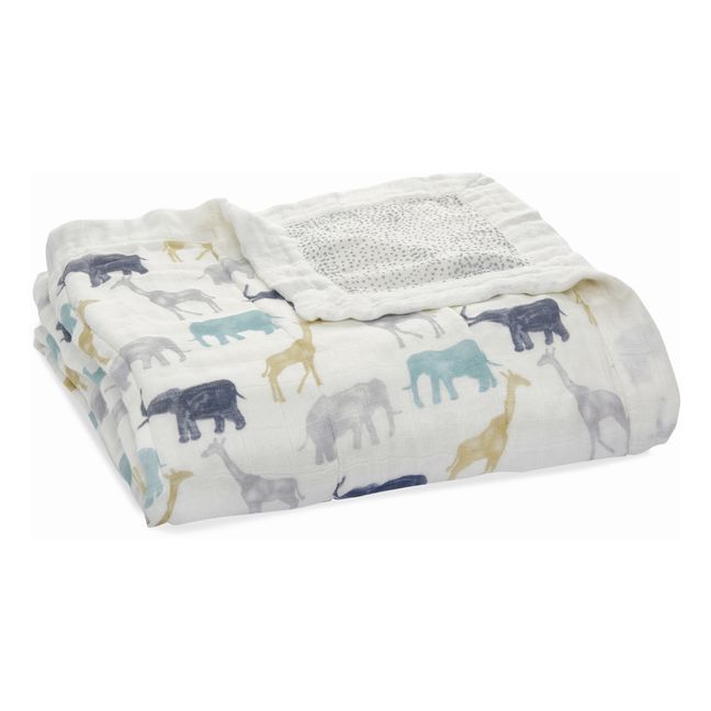 Silky Soft Expedition Dream Blanket