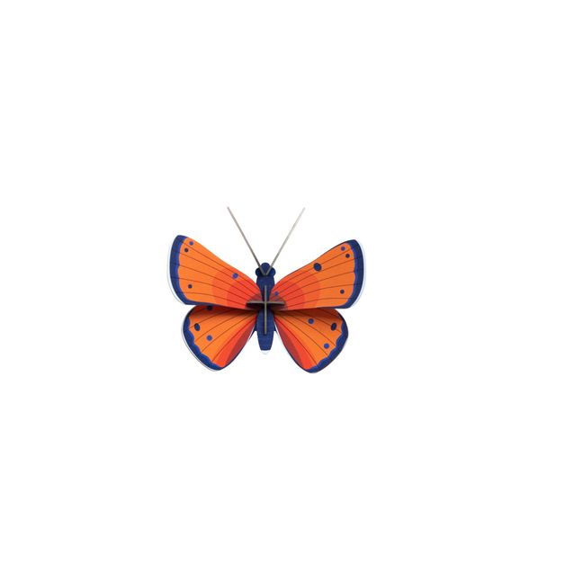 Wanddeko Schmetterling 