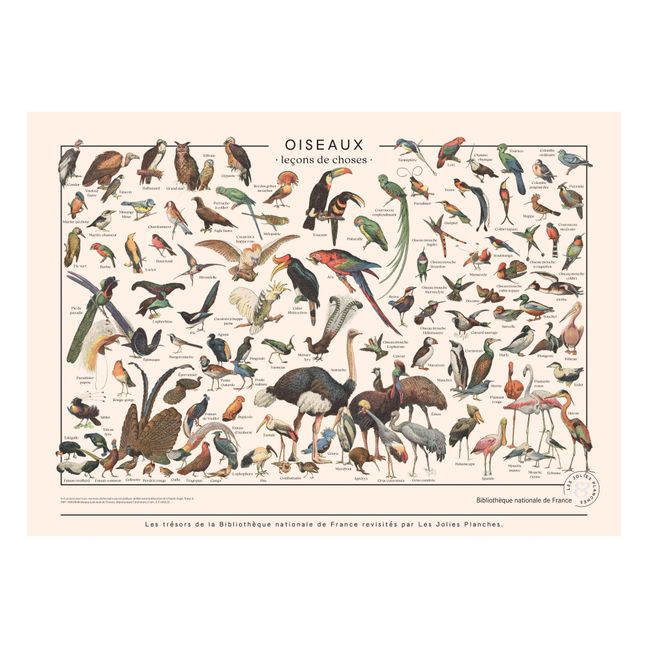 Birds Art Print 50x70cm