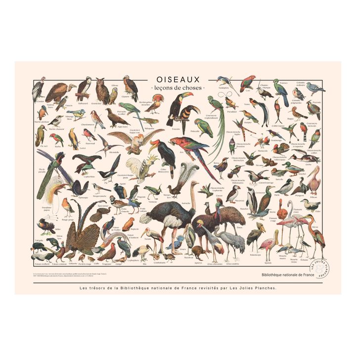 Tablero pájaros 50x70 cm- Imagen del producto n°0