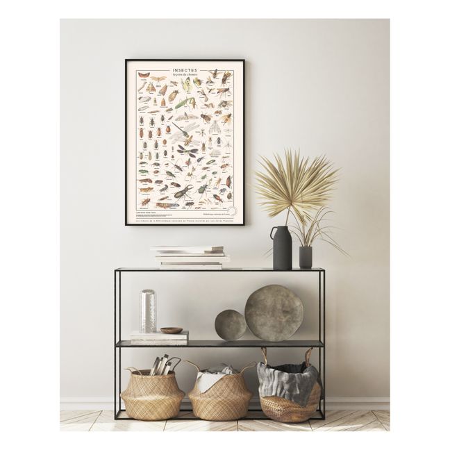 Insects Art Print 50x70cm