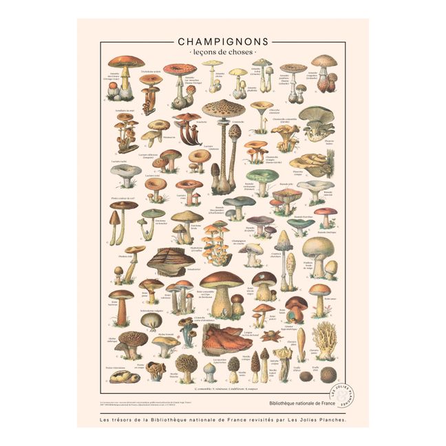 Mushroom Art Print 50x70cm