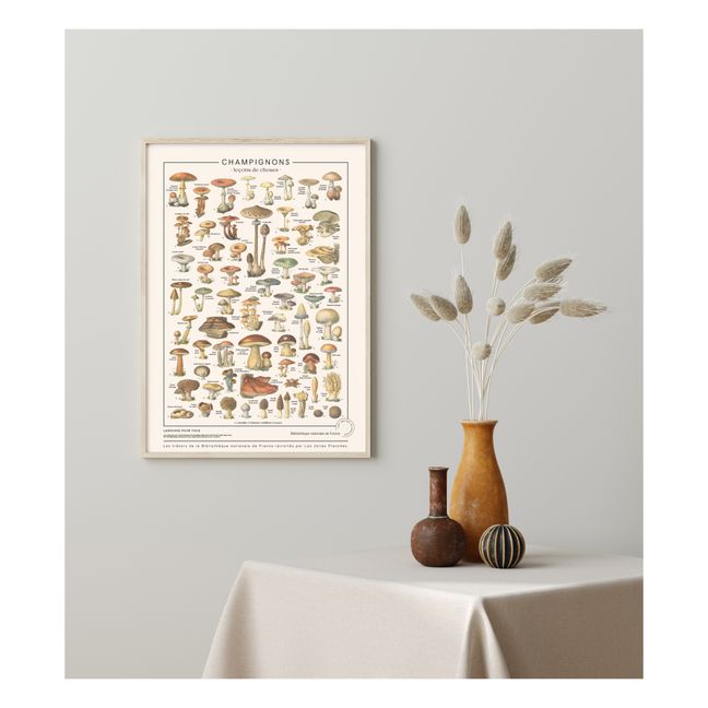 Pilze 50x70 cm
