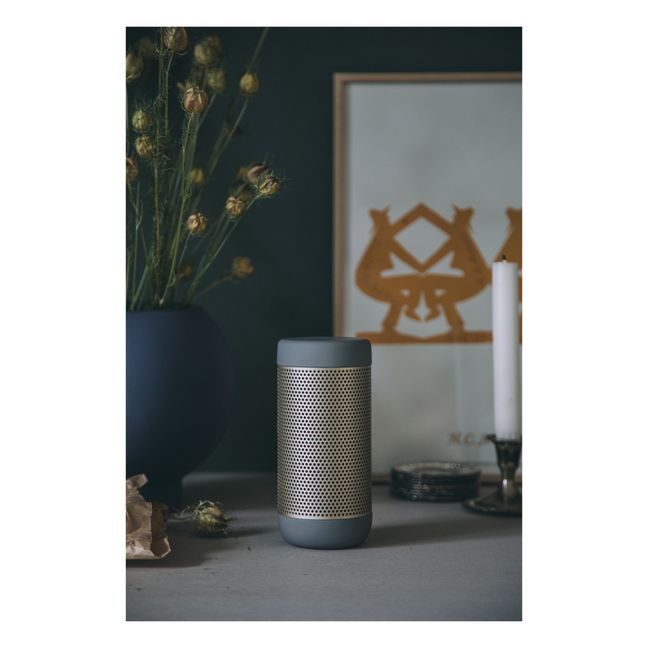 aCOUSTIC Bluetooth Speaker | Grey