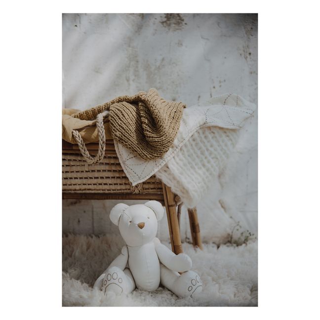 Organic Cotton Teddy Bear