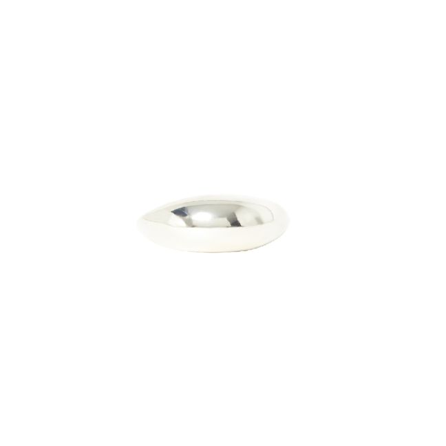 Ring Magnes Silber