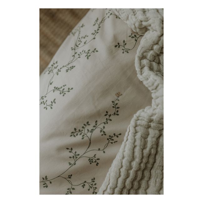 Botany Percale Cotton Fitted Sheet Green
