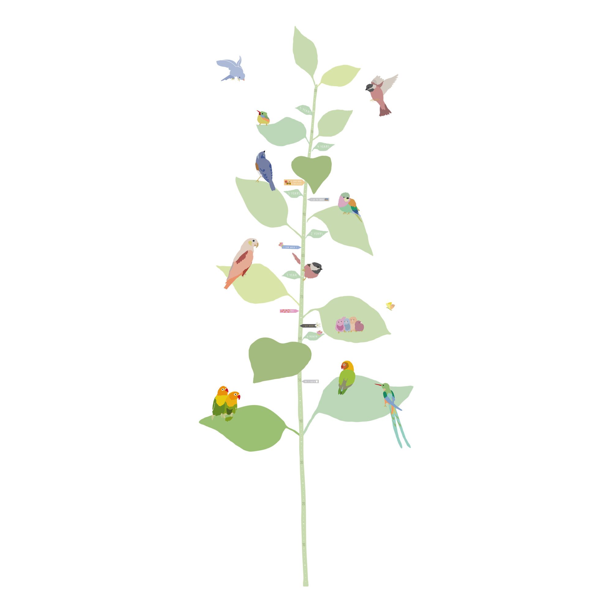 MIMI'lou - Toise With The Birds -EN - Multicolore