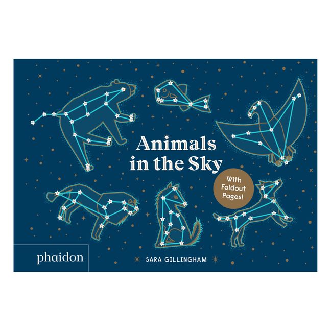 Libro Animals In The Sky - Sara Gilin linogham