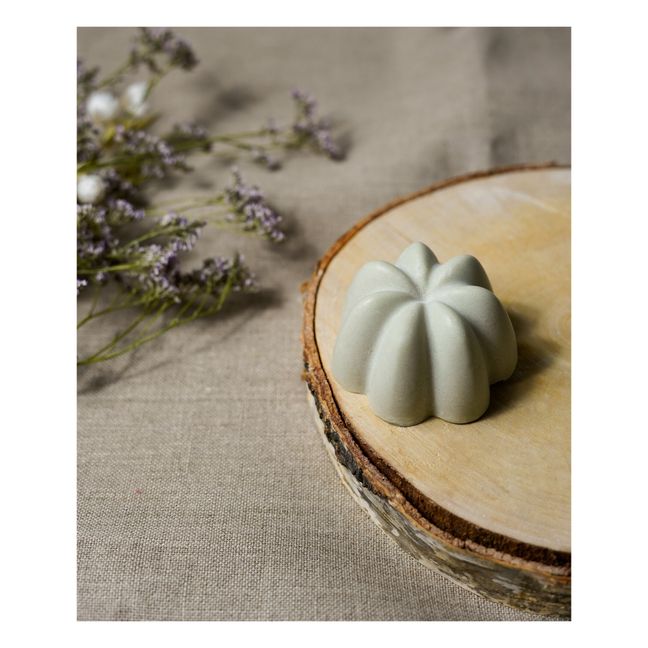 Detox Solid Shampoo