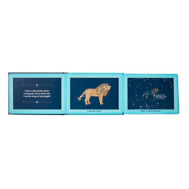 Libro Animals In The Sky - Sara Gillingham