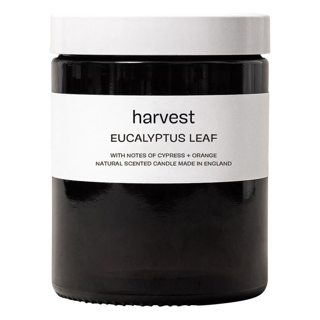 Eucalyptus Leaf Scented Candle - 200 g