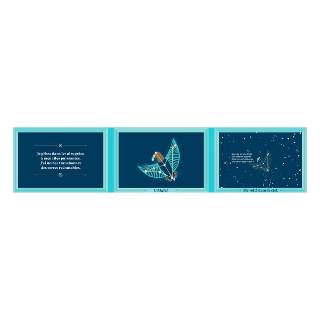 Libro Des Animaux Dans Le Ciel - Sara Gillingham
