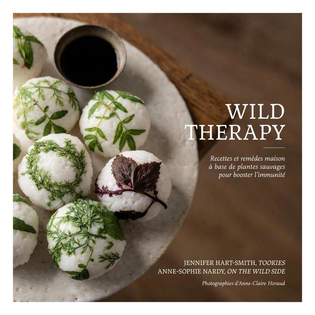 Livre Wild Therapy, recettes et remèdes maison à base de plantes sauvages - FR