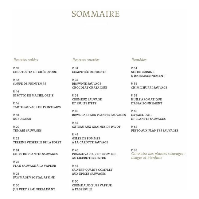 Livre Wild Therapy, recettes et remèdes maison à base de plantes sauvages - FR
