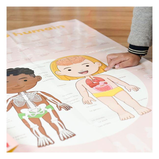 Poster sticker corpo umano