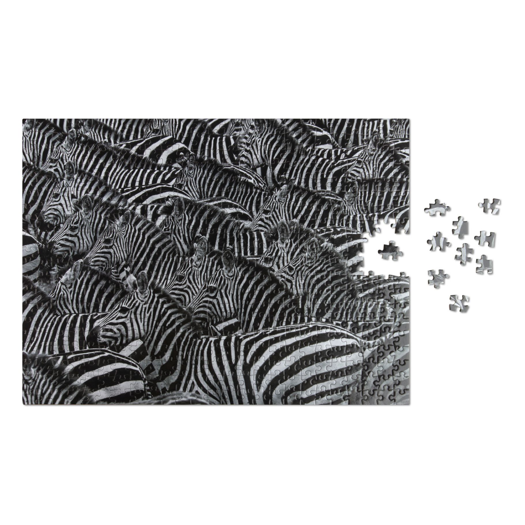 Puzzle Wildlife Zebra - 500 Teile- Produktbild Nr. 1