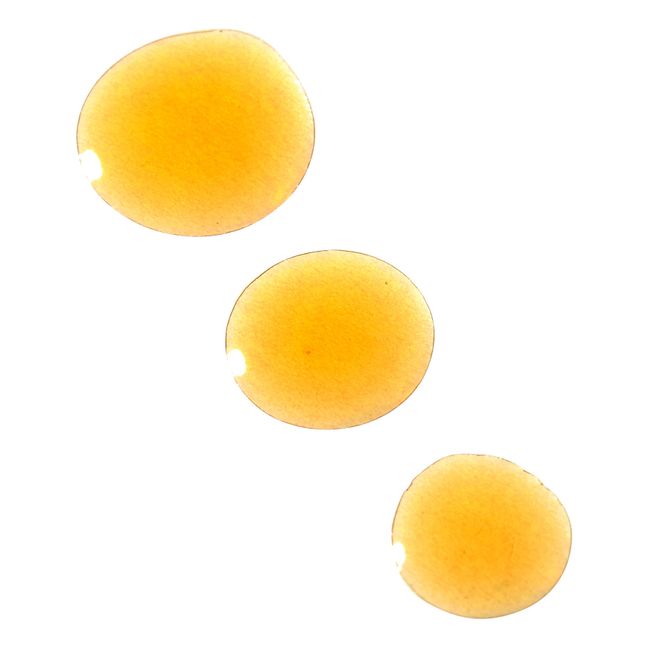 Olio per il viso notte Vipers Gloss, Viperine & Amarante - 30ml