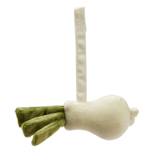 Veggie Playmat Accessories - Set of 5