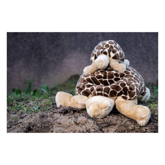 Peluche Mi Tortuga Rosalie | Marrón