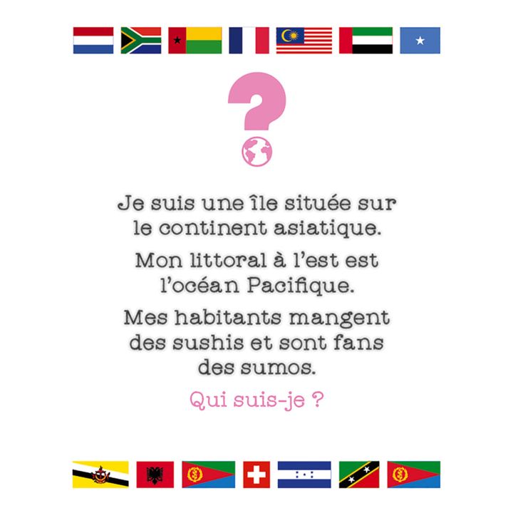 Gioco Cherche et Trouve - Bandiere- Immagine del prodotto n°3