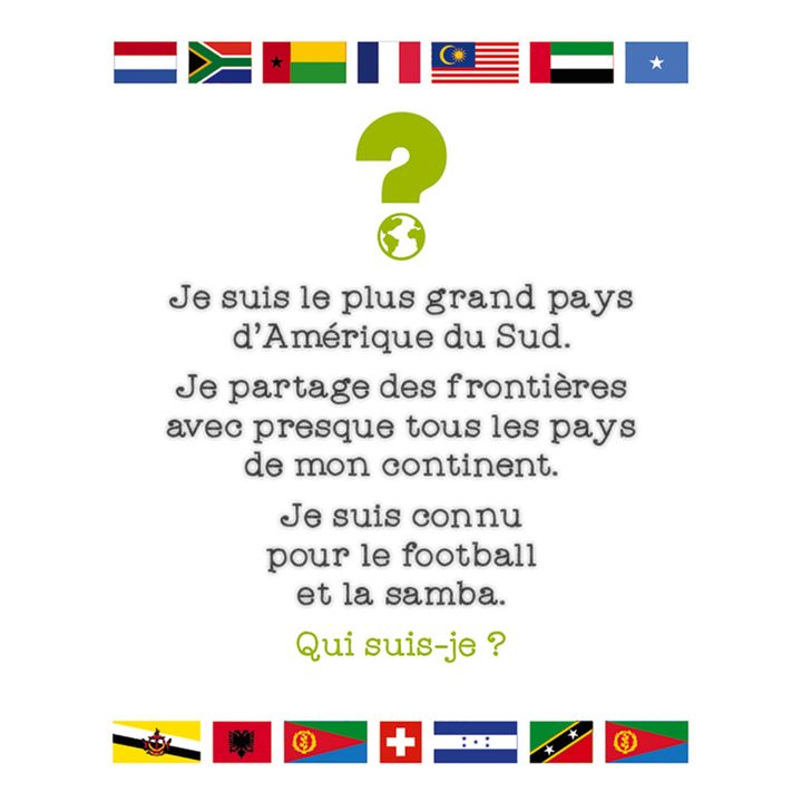 Gioco Cherche et Trouve - Bandiere- Immagine del prodotto n°5