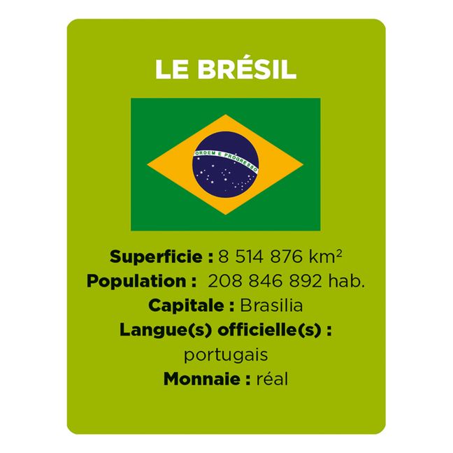 Jeu Cherche et Trouve - Drapeaux