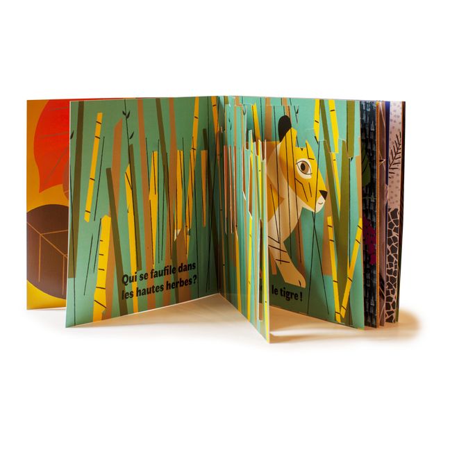 Libro Grenouille, Où Es-tu ? Olivia Cosneau
