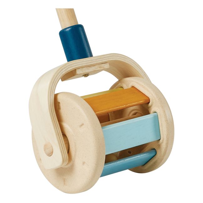 Push-along Roller Toy