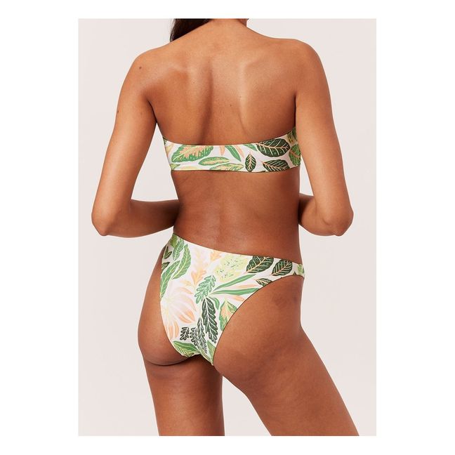 Tati Bikini Top  | Green