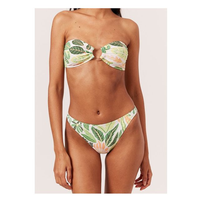 Tati Bikini Bottoms  | Green