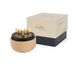 Meditations- & Sophrologie-Box - EN- Miniatur produit n°0