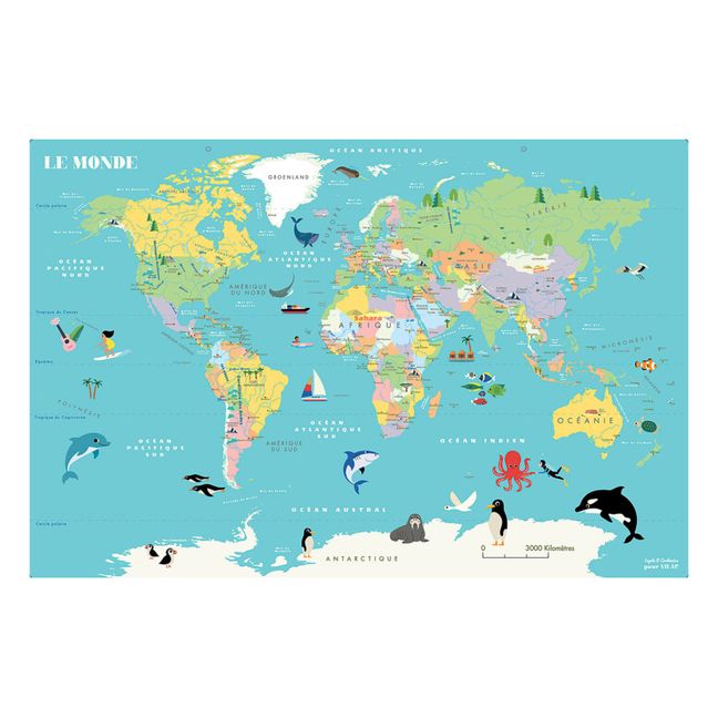 Carte du Monde magnétique - Ingela P.Arrhenius