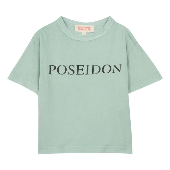T-shirt, modello: Rooster Poseidon Verde eucalipto