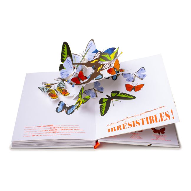 Book Papillons Illusions - B. Duisit & J. Brouant