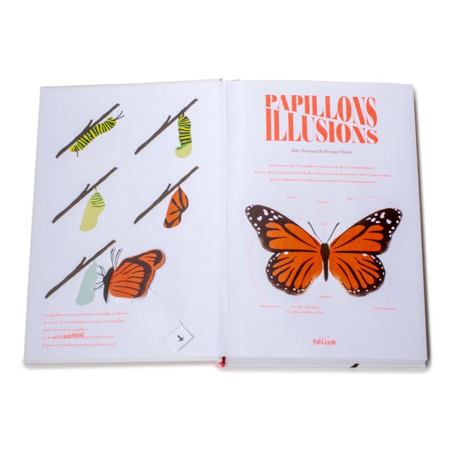 Book Papillons Illusions - B. Duisit & J. Brouant