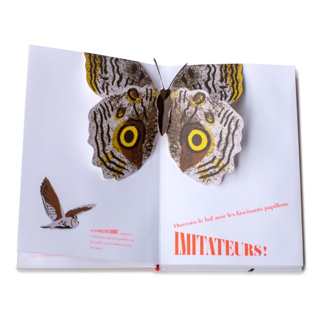 Book Papillons Illusions - B. Duisit & J. Brouant