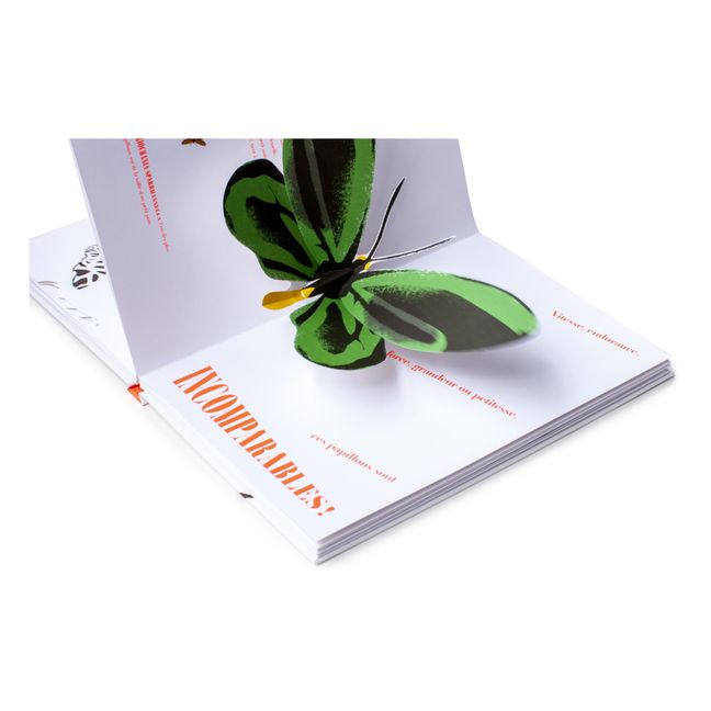 Book Papillons Illusions - B. Duisit & J. Brouant