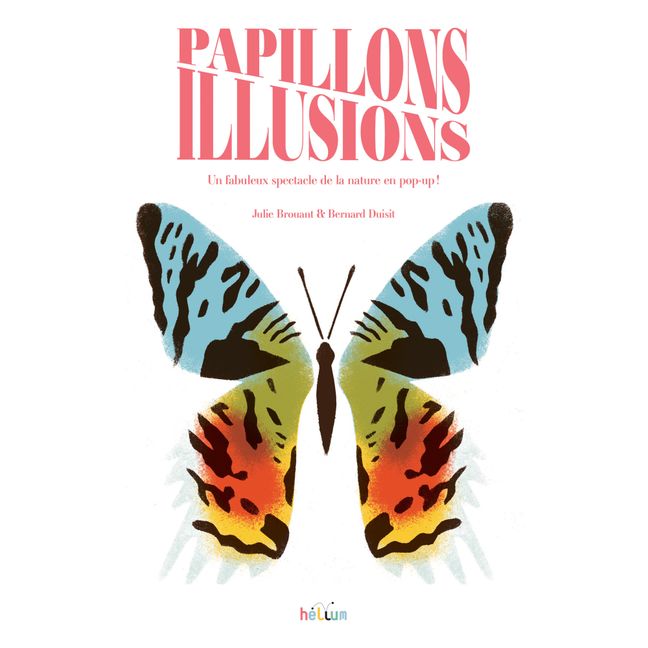 Book Papillons Illusions - B. Duisit & J. Brouant