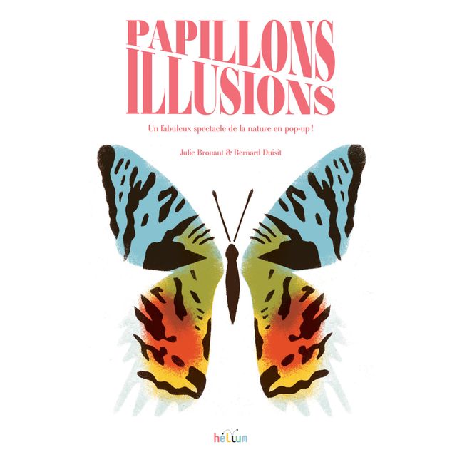 Livre Papillons Illusions - B. Duisit & J. Brouant