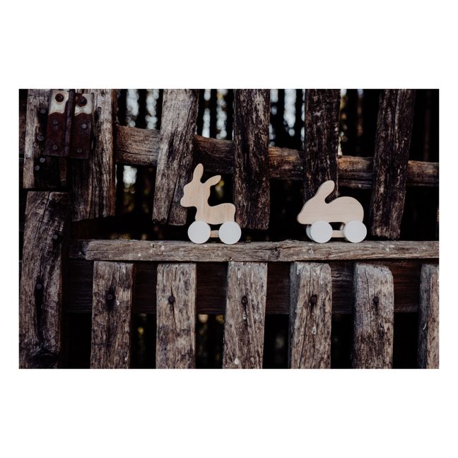 Donkey and Rabbit Wooden Pushing Toys