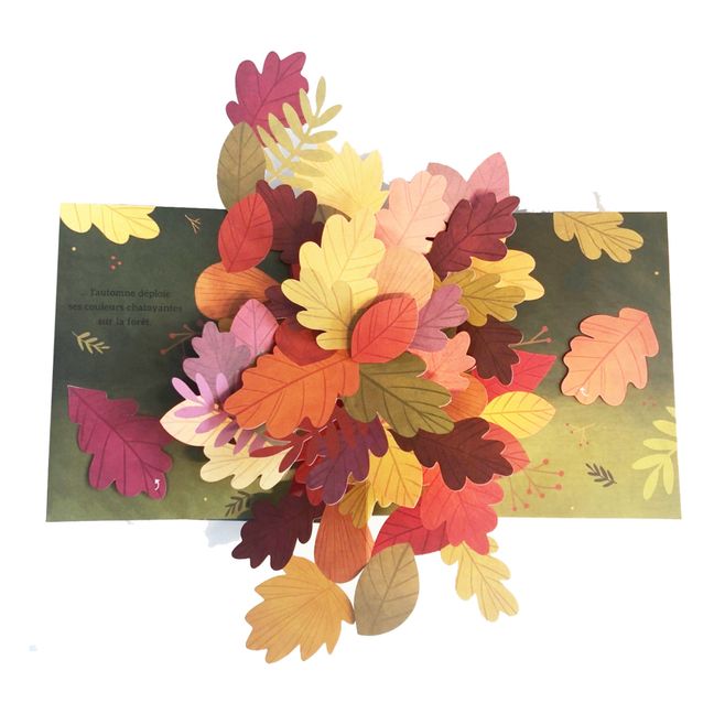 Libro Couleurs de l'automne - Janet Lawler