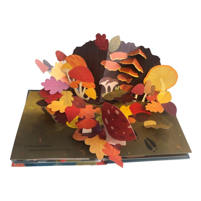 Libro Couleurs de l'automne - Janet Lawler
