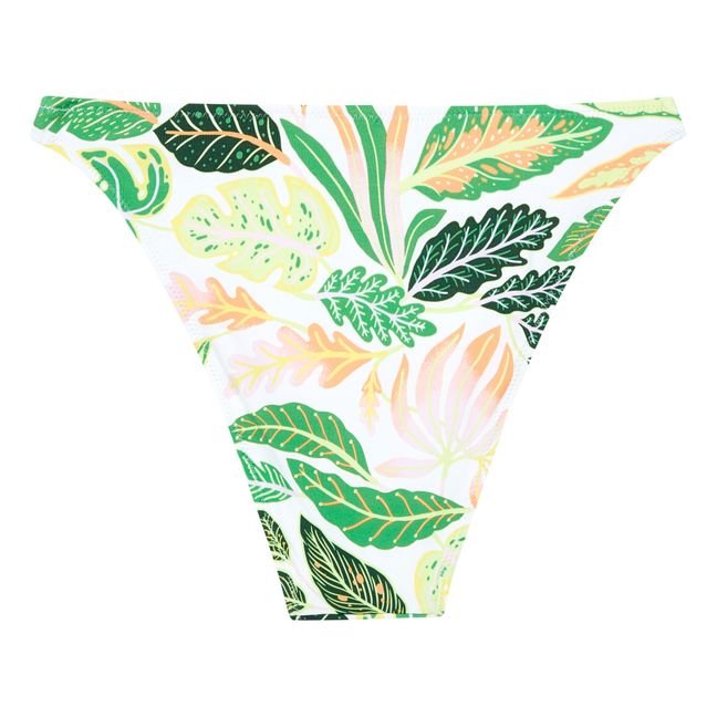 Tati Bikini Bottoms  | Green
