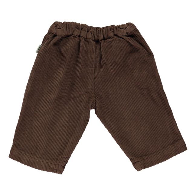Pantaloni in velluto, a coste, modello: Pomelos | Marrone