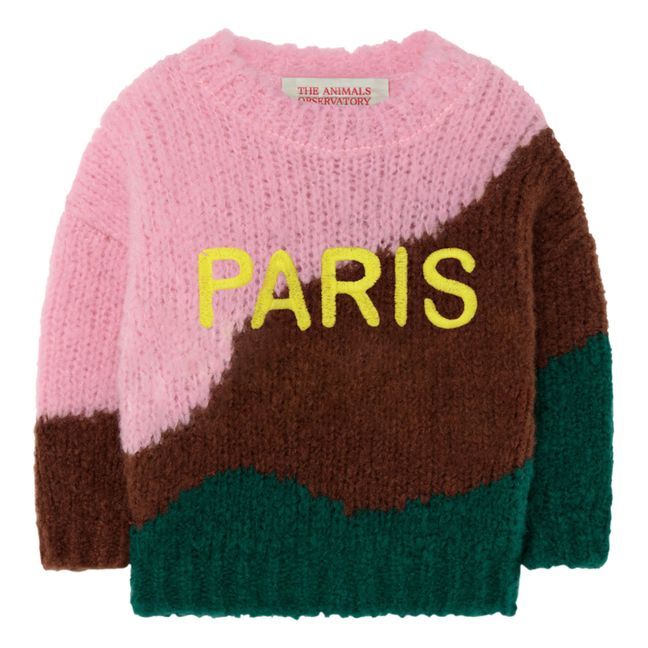 Pull in lana, modello: Paris City Bull Rosa