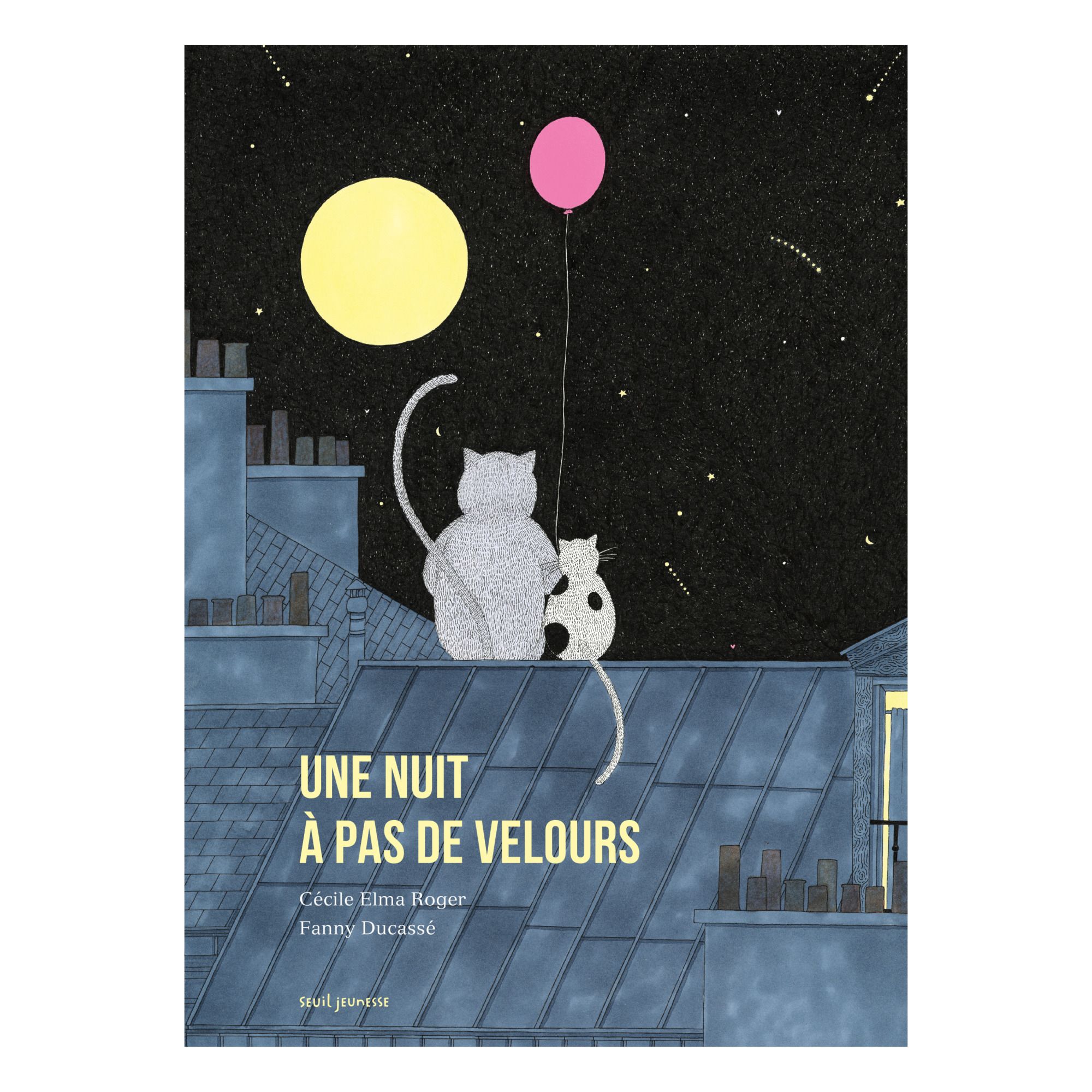 Seuil Jeunesse - Livre Une nuit à pas de velours - Cécile Elma Roger - Multicolore