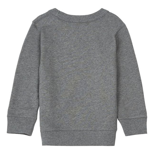 Sweatshirt | Grau